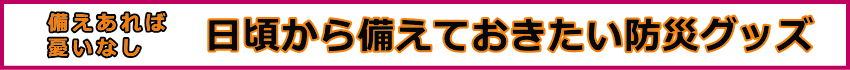 備えあれば患いなし